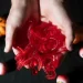 Low-Dose THC Gummies Offering Gentle Options for First-Time Consumers